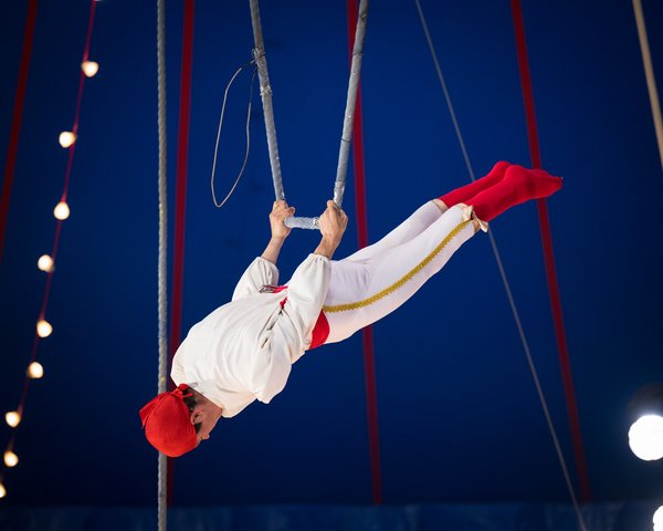 Circus